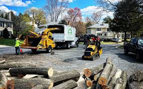 Hebron, KY Tree Care Company